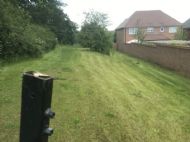 Click for all images